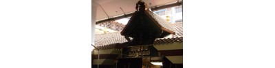 அண்ணாநகர் - சென்னை - தமிழ்நாடு